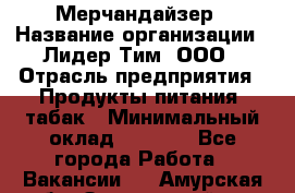 Мерчандайзер › Название организации ­ Лидер Тим, ООО › Отрасль предприятия ­ Продукты питания, табак › Минимальный оклад ­ 5 000 - Все города Работа » Вакансии   . Амурская обл.,Завитинский р-н